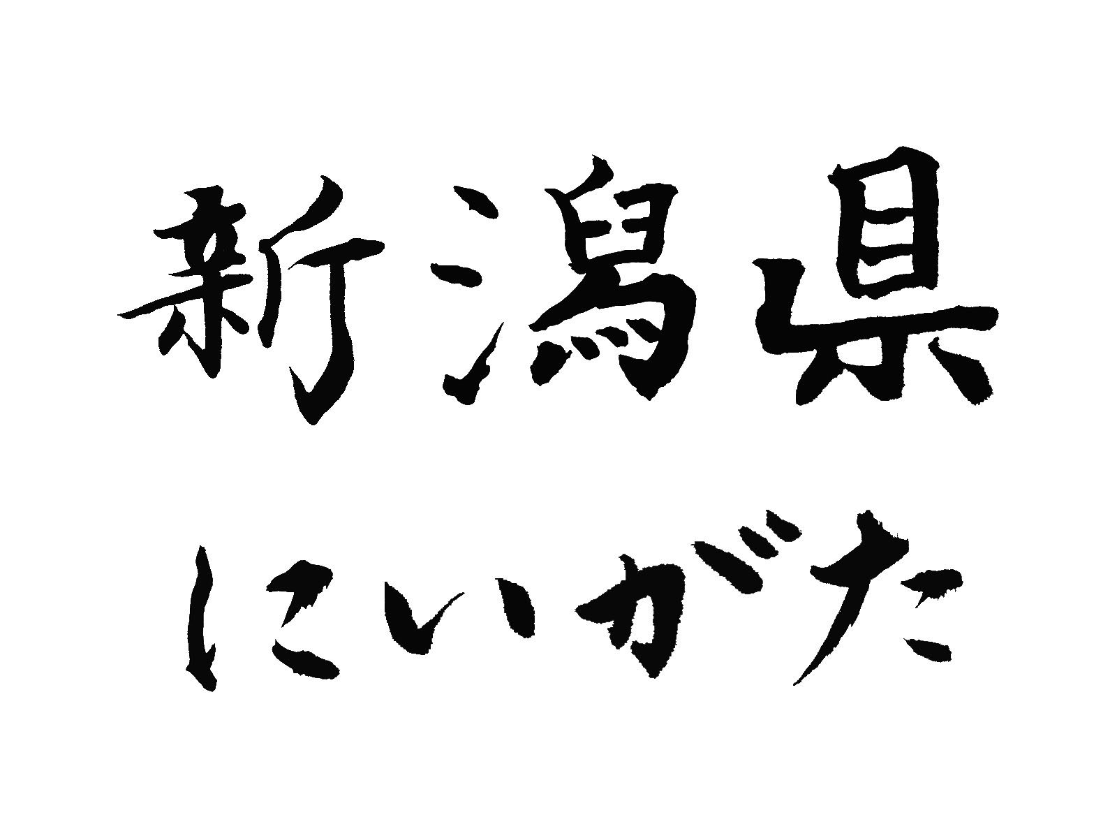 新潟県の外国人住民の動向と特徴