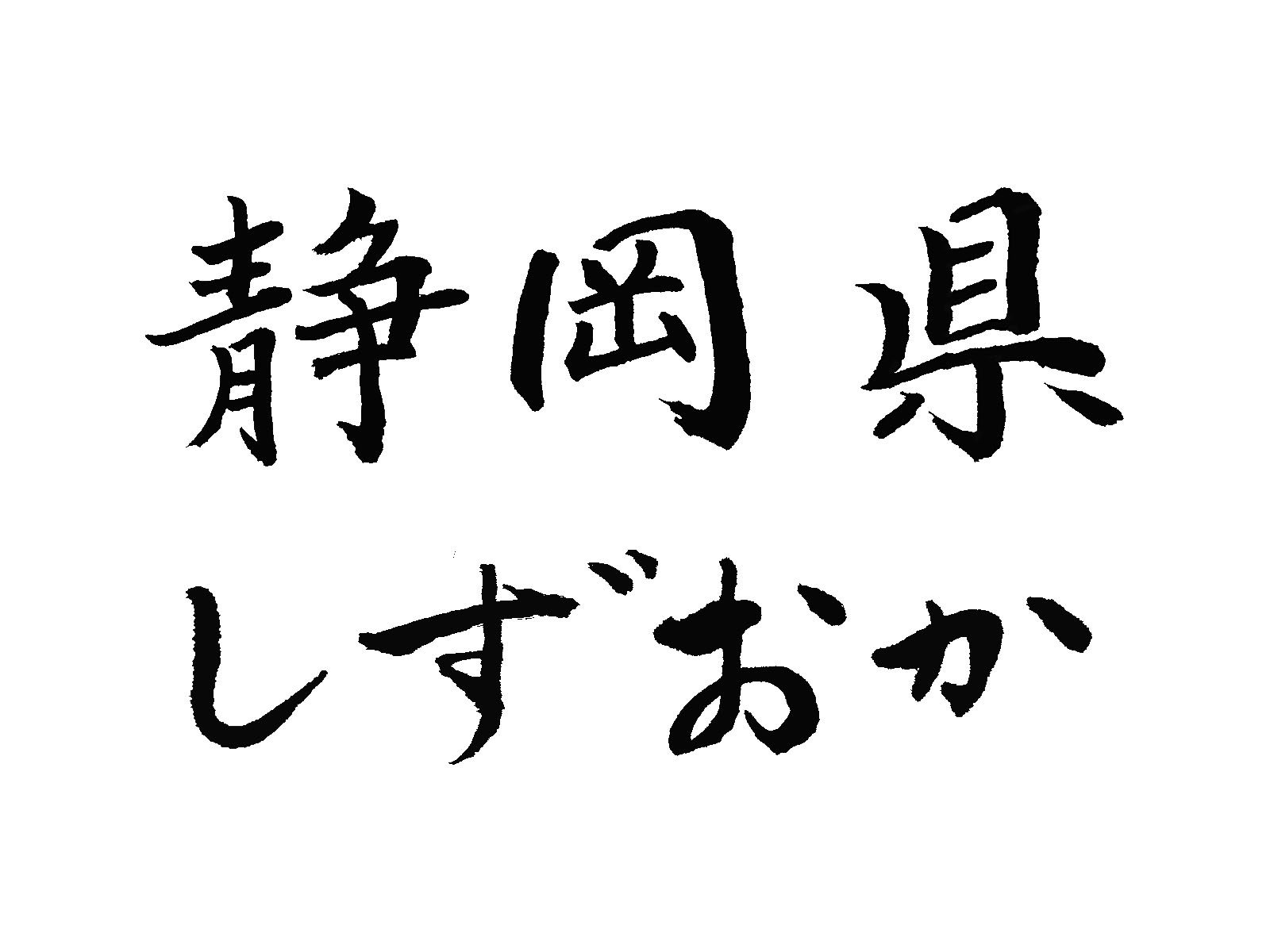 静岡県における外国人在留者の現状と課題 – 2024年版