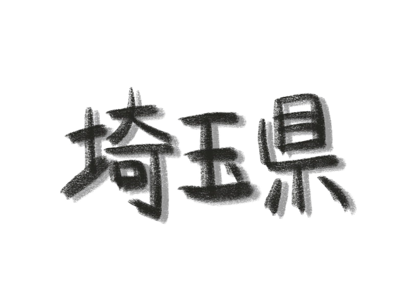 埼玉県における在留外国人の増加とその影響：2023年度統計分析
