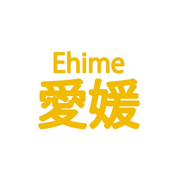 愛媛県の在留外国人の現状と推移：多文化共生の実態に迫る
